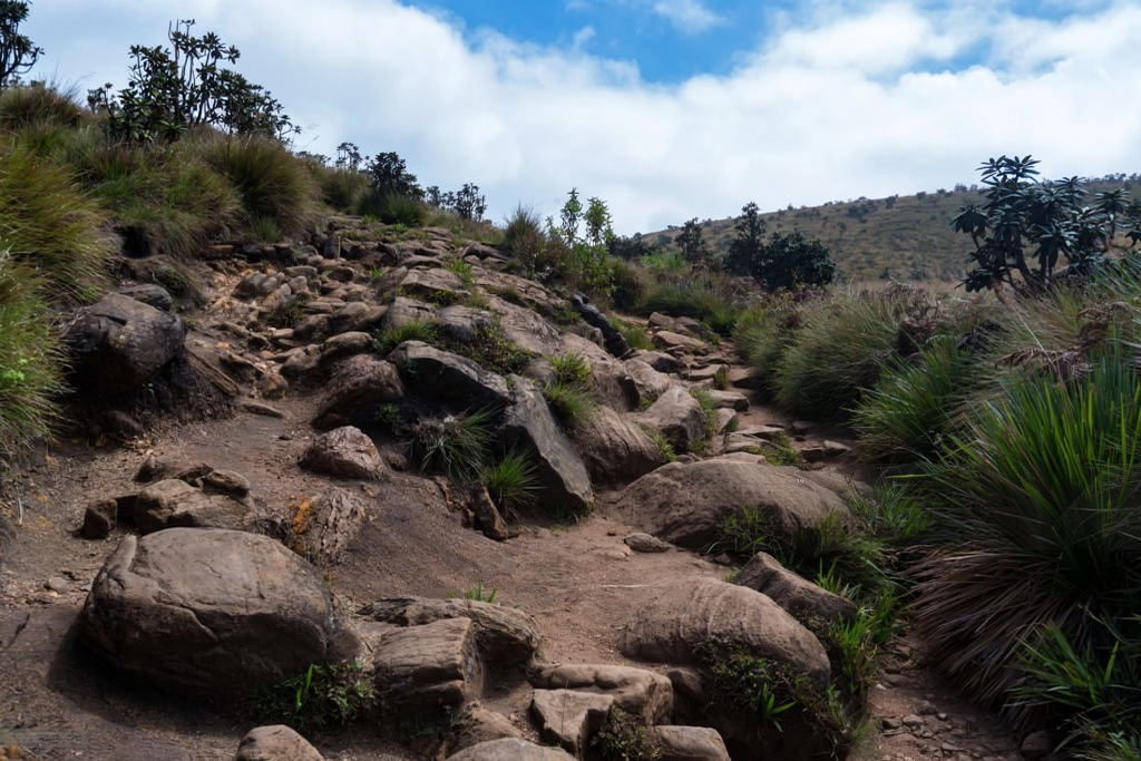 7 Days Machame Route Itinerary
